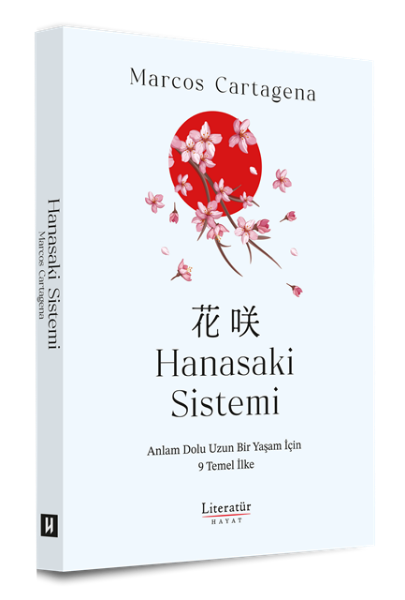Hanasaki Sistemi resmi